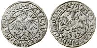 Polska, półgrosz, 1547