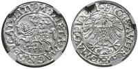 Polska, półgrosz, 1558