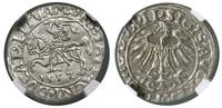 Polska, półgrosz, 1557