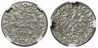 Polska, półgrosz, 1556