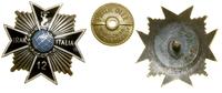 Polska, 12. Kompania Geograficzna 2. Korpusu – odznaka pamiątkowa (KOPIA)