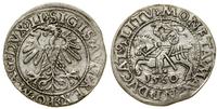 Polska, półgrosz, 1560