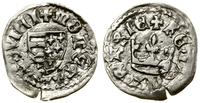Polska, denar, (ok. 1345–1357)