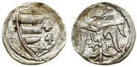 Polska, denar koronny, (1370–1382)