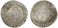 Polska, grosz, 1533