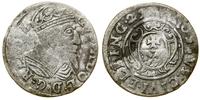 Polska, grosz, 1629