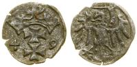 Polska, denar, 1549
