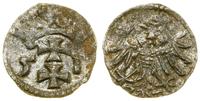 Polska, denar, 1551