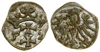 Polska, denar, 1552