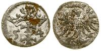 Polska, denar, 1554