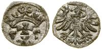 Polska, denar, 1555