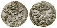 Polska, denar, 1556