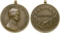 Austria, Brązowy Medal Za Dzielność (Der Tapferkeit), 1917–1918