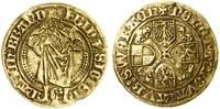 Niemcy, floren (goldgulden), (1486–1495)