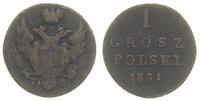 1 grosz 1831/K-G, Warszawa, Plage 228