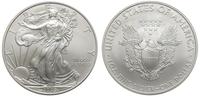 1 dolar 2009, Filadelfia, srebro 31.28 g, stempe