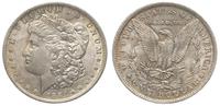 1 dolar 1884/O, Nowy Orlean, bardzo ładny, patyn