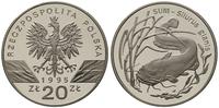 20 złotych 1995, Warszawa, Sum, srebro, moneta w