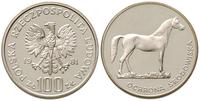 100 złotych 1981, Ochrona Środowiska - Koń, sreb