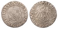 grosz 1541, Królewiec