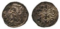 denar 1558, Gdańsk, rzadki i ładnie zachowany, l