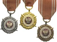 Medal Siły Zbrojne w służbie Ojczyzny (złoty, sr