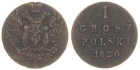 1 grosz 1820/IB, Warszawa, Plage 207, Bitkin 890