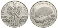 20 złotych 1996, Warszawa, Jeż, moneta w kapslu,