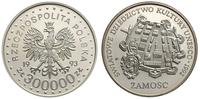300000 złotych 1993, Warszawa, Zamość, moneta w 