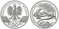 20 złotych 2009, Jaszczurka Zielona, moneta w id