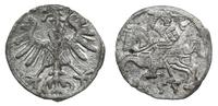 denar 1555, Wilno