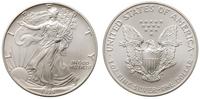 1 dolar 1995, Filadelfia, srebro '999' 31 g, unc