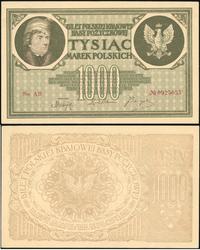 1.000 marek polskich 17.05.1919, seria AB, Miłcz