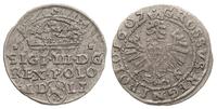 grosz 1607, Kraków, odmiana z koroną i herbem Le