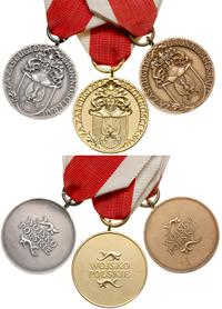 medal Za Zasługi dla Obronności Kraju, złoty, sr