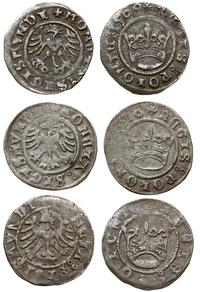 zestaw półgroszy koronnych bez daty, 1509 i 1510