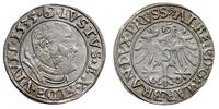grosz 1535, Królewiec, ładne lustro mennicze, Ne