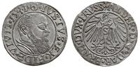 grosz 1541, Królewiec, Neumann 46