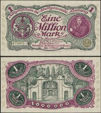 1 milion marek 8.08.1923, Miłczak G11, Ros 802a