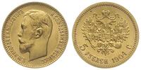 5 rubli 1904 / AP, Petersburg, złoto 4.30 g, Kaz