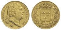 20 franków 1817/A, Paryż, złoto 6.39 g, Gadoury 
