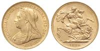 1 funt 1896/M, Melbourne, złoto 7.98 g, Spink 38