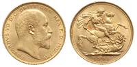 funt 1908 / S, Sydney, złoto 7.99 g