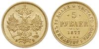 5 rubli 1877/СПБ HI, Petersburg, złoto 6.57 g, F