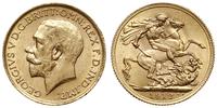 1 funt 1912, Londyn, złoto 7.99 g, Spink 3996