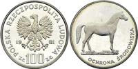 100 złotych 1981, Warszawa, Koń, srebro, moneta 