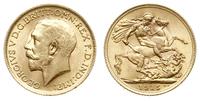 1 funt 1915, Londyn, złoto 7.99g