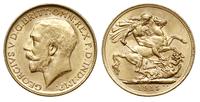 1 funt 1915/M, Melbourne, złoto 7.99g