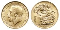 1 funt 1927/SA, Pretoria, złoto 8.00g, Spink 400