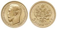 5 rubli 1904, Petersburg, złoto 4.30 g, Kazakov 